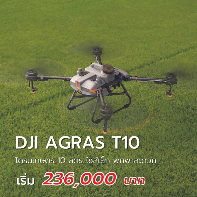 My Image 30